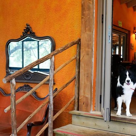 Parod Country Lodge Dış mekan fotoğraf