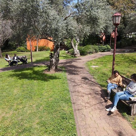 Parod Country Lodge Dış mekan fotoğraf