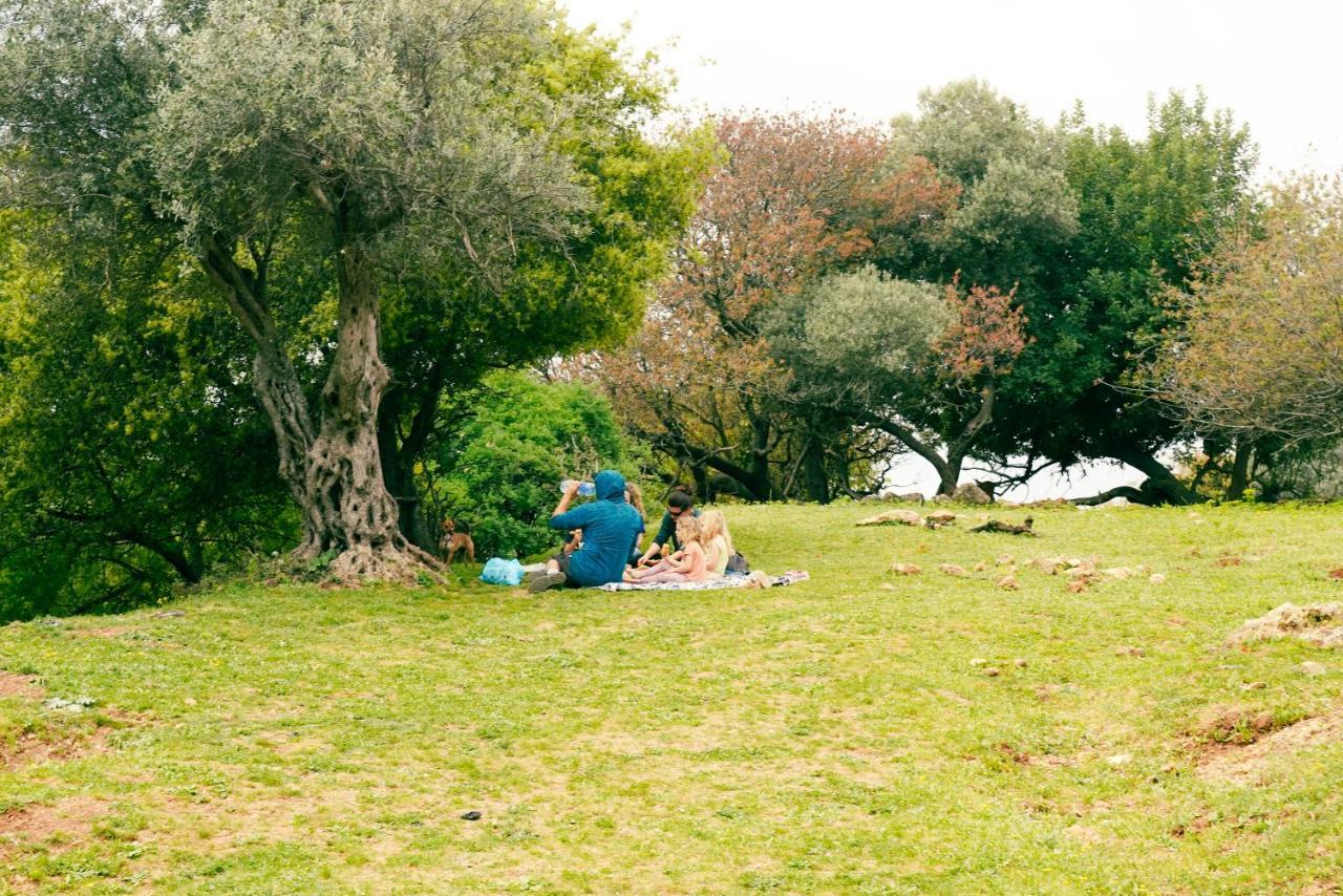Parod Country Lodge Dış mekan fotoğraf