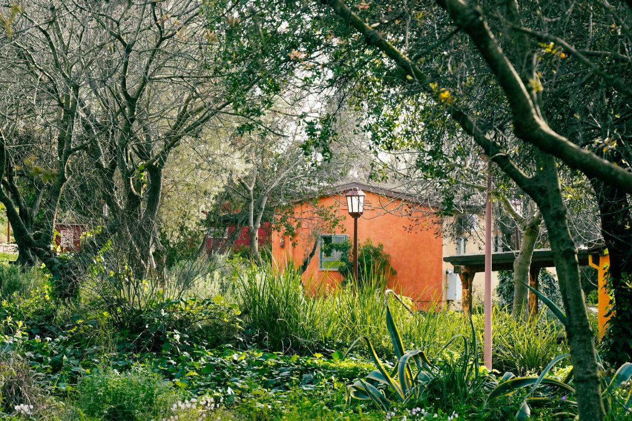Parod Country Lodge Dış mekan fotoğraf
