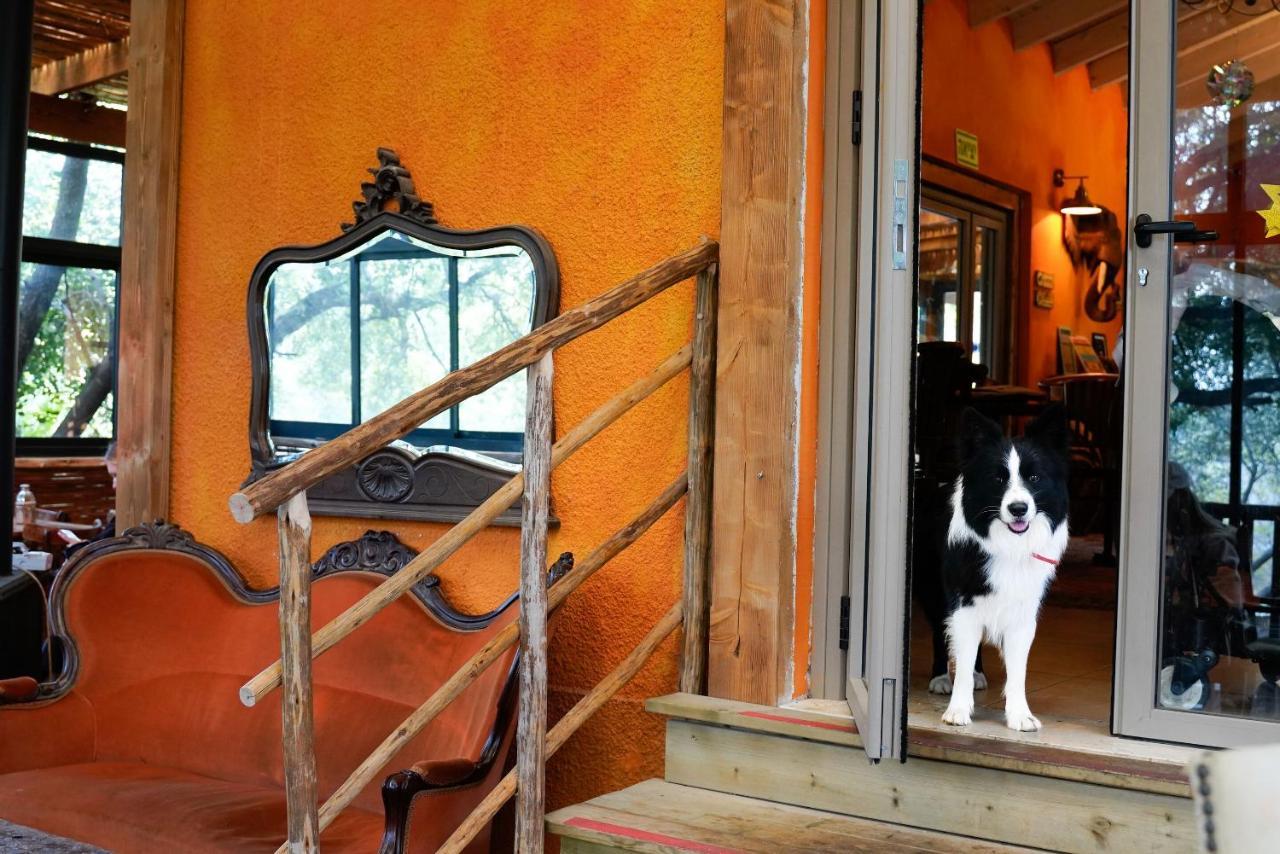 Parod Country Lodge Dış mekan fotoğraf