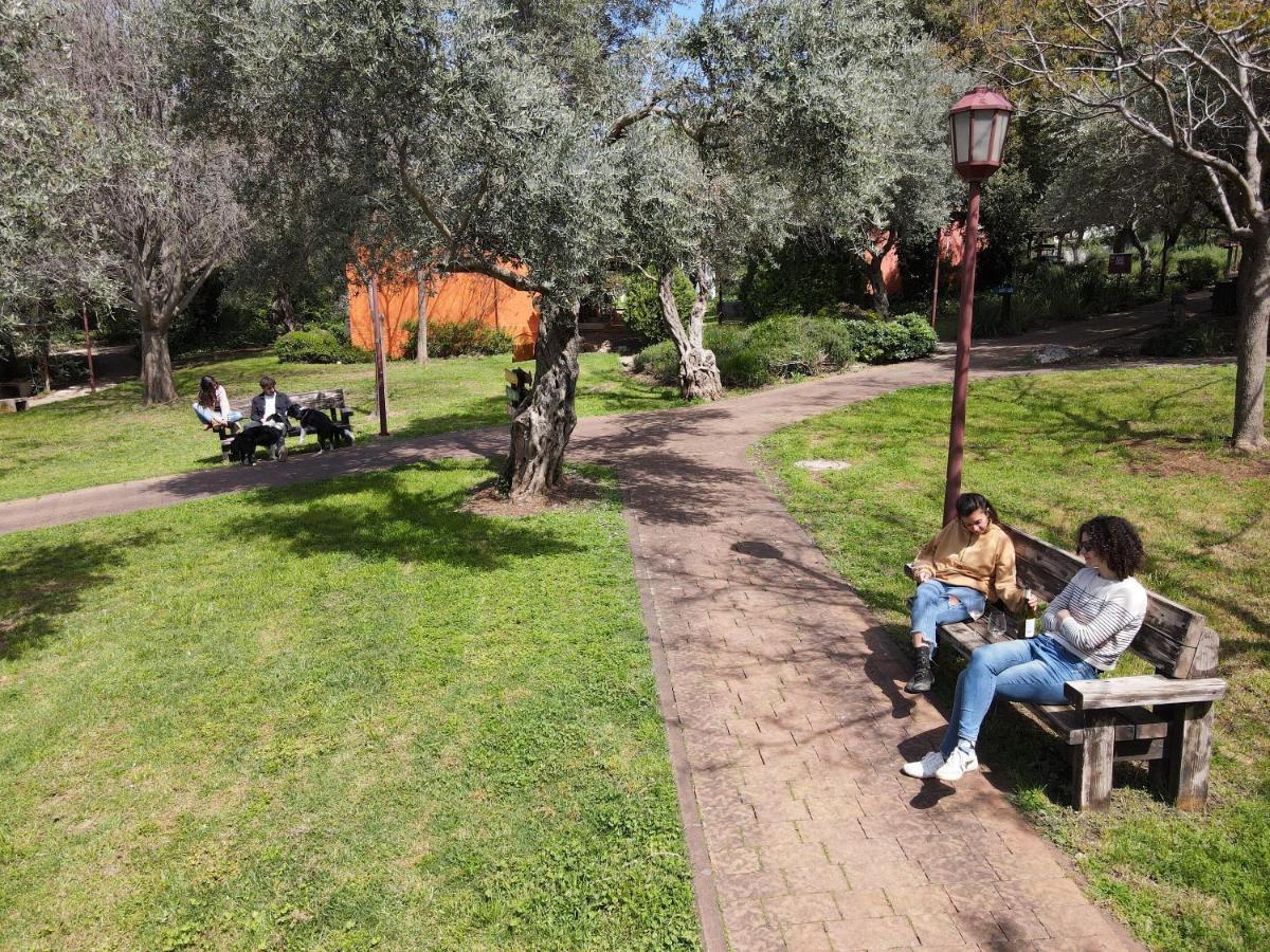 Parod Country Lodge Dış mekan fotoğraf